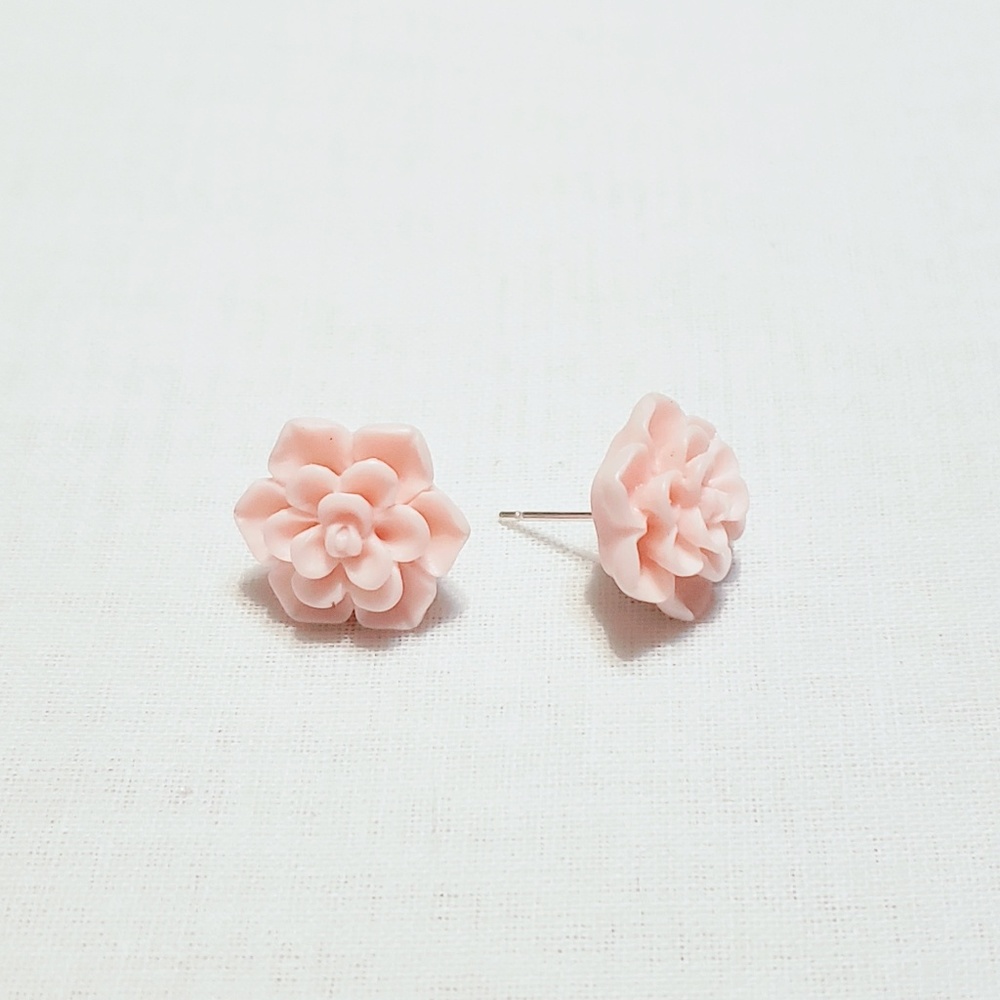 Succulent earrings